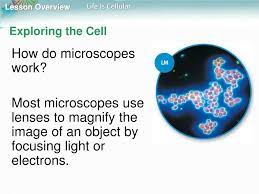 That plants are made of cells.4.german biologist theodor schwann concluded that animals are made of cells.5.rudolph virchow concluded that new cells are produced from existing cells.6. Ppt Cell Structure And Function Powerpoint Presentation Free Download Id 4224501