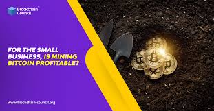 These accessories can set you back several hundred dollars. For The Small Business Is Mining Bitcoin Profitable By Sophia Casey The Capital Medium