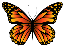 Orange Butterfly Png Clipar Image Gallery Yopriceville High Quality Images And Transparent Png Butterfly Clip Art Orange Butterfly Yellow Butterfly Tattoo