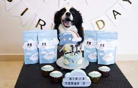 Dog bakery online gourmet dog treats. 11 Best Dog Bakeries In Singapore You Should Check Out