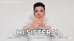 Hi Sisters Saad After Buying5james Charles Palettes Gif Hi Sisters Saad After Buying5james Charles Palettes James Charles Discover Share Gifs