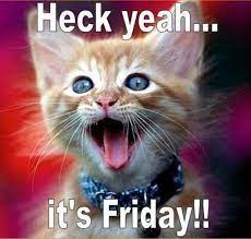 It S Friday 24 Pics Friday Cat Cats I Love Cats