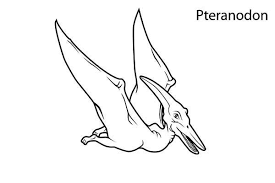 These days, i recommend pteranodon coloring pages free for you, this post is related with caterpillar butterfly coloring pages. Pteranodon Pteranodon Image Coloring Page Coloring Pages Color Image