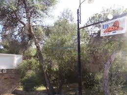 Bed and breakfast νομό χανίων: Eg Leo Nyxterinh Zwh Attikh Aigina