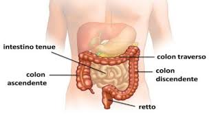 5 alimenti che aiutano a ridurre i sintomi. Perche Si Infiamma Il Colon Ascendente Coliteaddio It