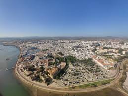 Image result for Faroa duvigneaud