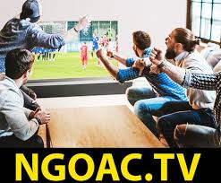 Hầu hết các link trực tiếp bóng đá tại đây đều được lấy trực tiếp từ nước ngoài nên có chất lượng hình ảnh âm thanh sắc nét, đường truyền ổn định, không lag giật, gián đoạn. Truc Tiep Bong Da Vtv6 Truc Tiep Bong Da Vtv6 Flickr