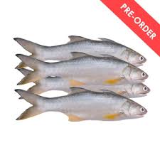 Check 'senangin' translations into english. Order Fresh Groceries Online Have It Delivered Quickly Everyday Mygroser