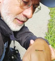 THE 117TH CHRISTMAS BIRD COUNT