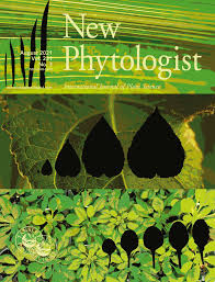 International journal of anatomy and research. New Phytologist