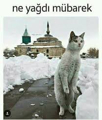 Afşin - Afşine ne kar yağdı mübarek 😎 #kadir | Facebook