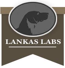 Check spelling or type a new query. Life S Abundance All Life Stage Dog Food For Sale Lankas Labs