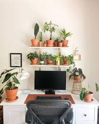 Pin On Living With Plants