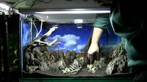 To create an aquascape, the steps are very easy to understand compared to learn math. Ivory Tower Aquascaping Aquarium Setup Step By Step Youtube
