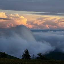 Weather in rogers for today, tomorrow and week. Massie Gap To Mt Rogers Summit Out And Back Hiking Trail Marion Virginia