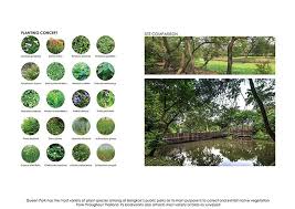 Bridging The Gaps Bangkok Thailand Shma Landscapearchitecture Bridge Thailand Timber Wood Ba Landscape Design Landscape Architecture Bangkok Thailand