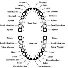 Pin On Dentistry