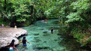 Surprisingly, there are more springs in florida than any other state. Cheap Thrills Chill Out At Rock Springs In Apopka
