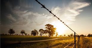 Barbed wire, razor wire, barbed wire fence and razor wire fences are as common using security fences in agriculture, animal feeding, war protection and as parts of fences. Barbed Wire Fencing Orscheln Farm And Home