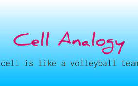We did not find results for: A Cell Is Like A Volleyball Team By Tyler Foltz