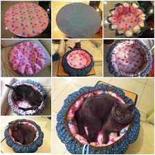 Diy Pumpkin Bed For Cats Diy Pet Projects Diy Pumpkin Bed For Cats 2020 Hayvan Yastiklari Hayvan Projeleri Evcil Hayvan Yataklari
