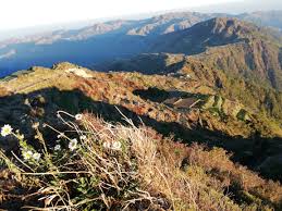 The rainforest and the mountain regions are home to wildlife including birds, plants, and animals. Top 10 Highest Mountain In The Philippines You Should Climb