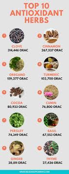 Antioxidant Foods List Of The Top 10 Antioxidant Foods And Herbs Anti Oxidant Foods High Antioxidant Foods Food Infographic