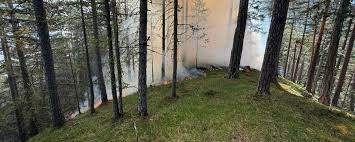 Waldbrand in steilem Gelände forderte Feuerwehren