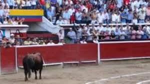 Castrillón saludó ovación en tarde que asustaron los de Achury en Cali -  Burladero TV