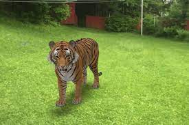 Here S How To Look At Life Size Animals In Ar Through Google Search The Verge