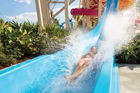 Water is an inorganic, transparent, tasteless, odorless, and nearly colorless chemical substance, which is the main constituent of earth's hydrosphere and the fluids of all known living organisms. Perfect Day Island At Cococay Bahamas Royal Caribbean Cruises
