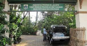 Hubungi 081 232 888 353. Cari Tabulampot Yuk Mampir Ke Pusat Promosi Bibit Di Ragunan