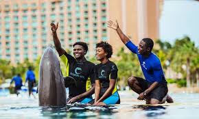 Atlantis Sanya Official Site – Where Water Meets Wonder