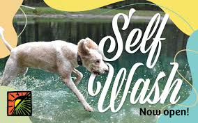 Check spelling or type a new query. Self Serve Self Washing Dog Wash Station In Gainesville At Earth Pets Natural Pet Market