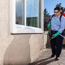 I have used sure shot for several years for my rental properties as well as my home. Sureshot Pest Control 11 Photos Pest Control 500 S Lafayette St Greenville Mi Phone Number Yelp