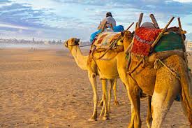 Außerdem muss eine reise nach casablanca gar nicht teuer sein. Last Minute Marokko All Inclusive Urlaub Sonnenklar Tv