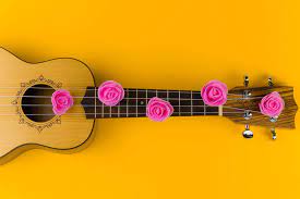 We did not find results for: What Are Ukulele Strings Made Of Here Is The Best 2021 Research