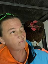 I've heard of piggy back rides… But chicken back rides?