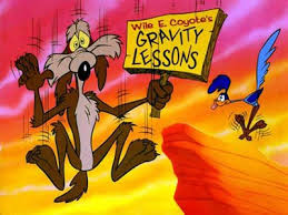 Image result for wile e coyote