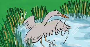 قصه عن الرفق بالحيوان مصورة قصة كريم ونورين قصة واقعية animals badge rooster