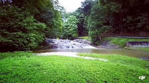 Hutan lipur bukit lagong : Belum Putus Nyah Warta Hutan Simpan Bukit Lagong Mynewshub