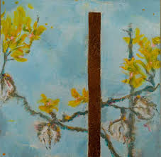 Kari Englehardt “arbusto de creosota creosote bush”