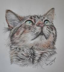 Imagini pentru desene de colorat cu creionul cu fete drawings of friends bff drawings best friend drawings. Desen Pentru Netalentati Desen Pentru Netalentati