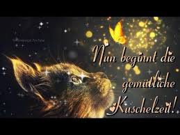 Ich Wunsche Dir Einen Gemutlichen Sofa Kuschel Abend Youtube Schonen Abend Grusse Schonen Abend Bilder Gute Nacht Lieder