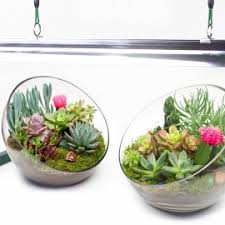 Comment entretenir vos cactus et plantes grasses ? Terrarium De Cactus Et De Succulentes Une Bien Mauvaise Idee Jardinier Paresseux
