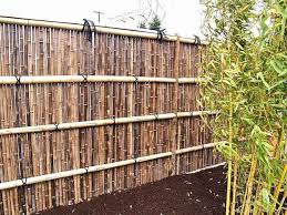 Cloture De Jardin Pas Cher Bambou Idee Bamboetuin Tuinhek Ideeen Achtertuin Hekken