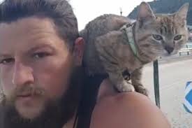 She's fearless': Man bikes around the world with stray cat named Nala