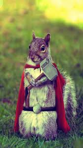 Search free kaws iphone wallpapers on zedge and personalize your phone to suit you. Squirrel Of Thunder Best Iphone Wallpapers Iphone Wallpaper Iphone 6 Plus Wallpaper