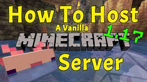 We try to have minimal plugins to have the most basic vanilla gameplay. How To Make A Minecraft 1 17 Server Hosting Your Own Vanilla Server Is Easy Benisnous