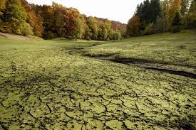 hennesee bei meschede und sein rechter seitenarm sauerland see seiten